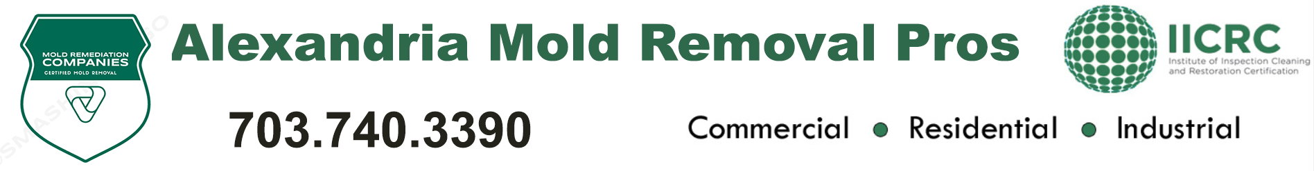 Alexandria Mold Removal Pros